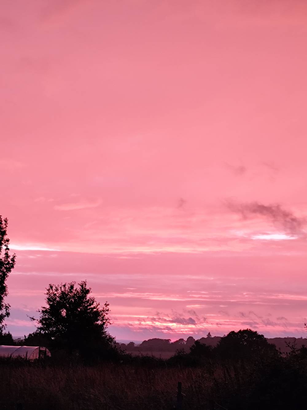 Par un curieux hasard...